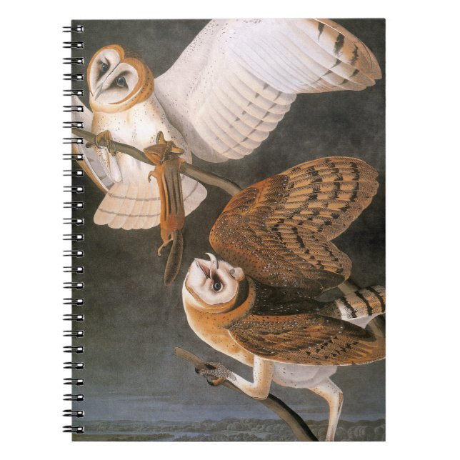 Audubon: Barn Owl Spiral Notebook (Front)