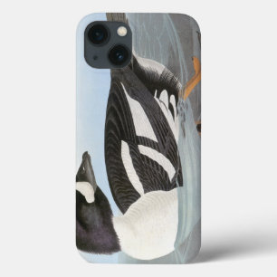 Audubon: Barrow's Goldeneye iPhone 13 Case