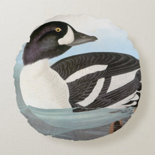 Audubon: Barrow's Goldeneye Round Cushion