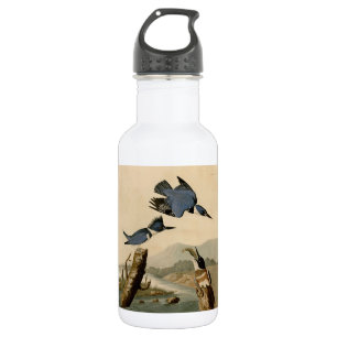 Audubon Belted Kingfisher Wildlife Bird 532 Ml Water Bottle