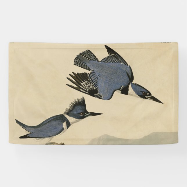 Audubon Belted Kingfisher Wildlife Bird Banner (Horizontal)