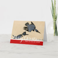 Audubon Belted Kingfisher Wildlife Bird