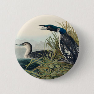 Audubon Bird Loon Diver Classic 6 Cm Round Badge