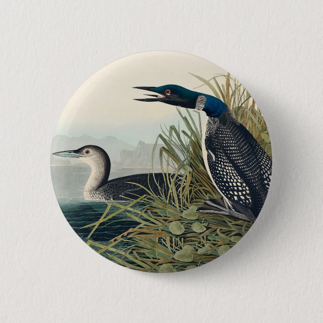 Audubon Bird Loon Diver Classic 6 Cm Round Badge (Front)