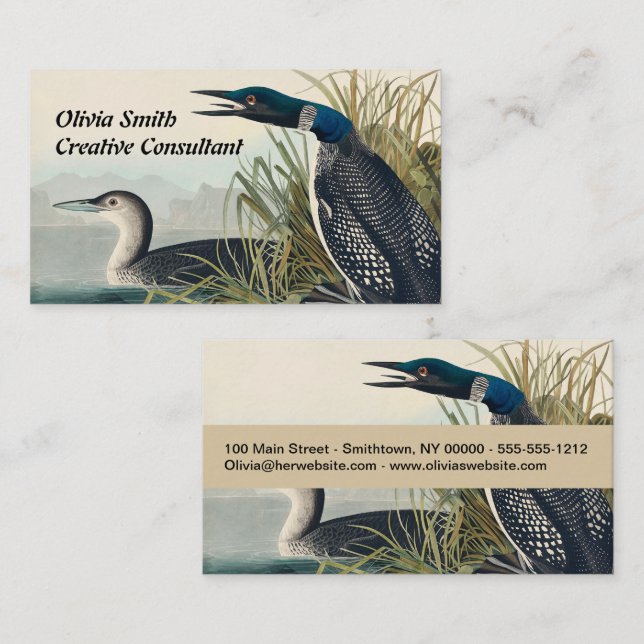 Audubon Bird Loon Diver Classic Business Card (Front/Back)
