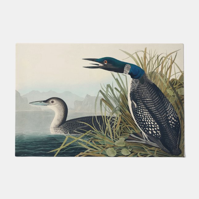 Audubon Bird Loon Diver Classic Doormat (Front)