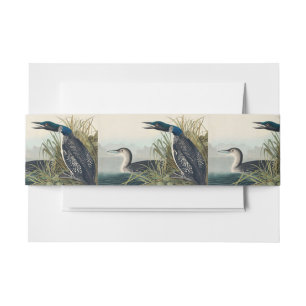 Audubon Bird Loon Diver Classic Invitation Belly Band