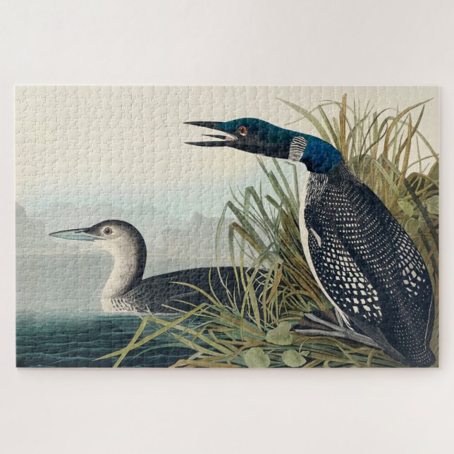 Audubon Bird Loon Diver Classic Jigsaw Puzzle (Horizontal)