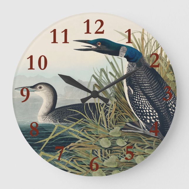Audubon Bird Loon Diver Classic Large Clock (Front)