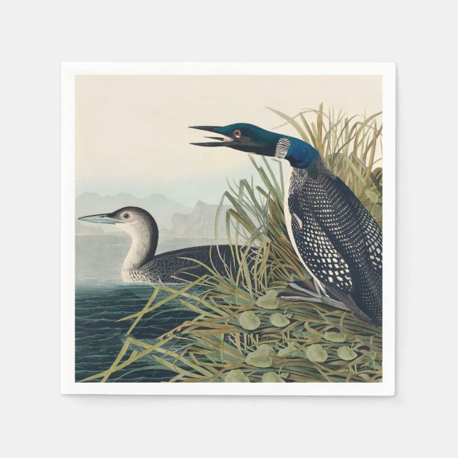 Audubon Bird Loon Diver Classic Napkin (Front)