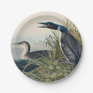 Audubon Bird Loon Diver Classic Paper Plate