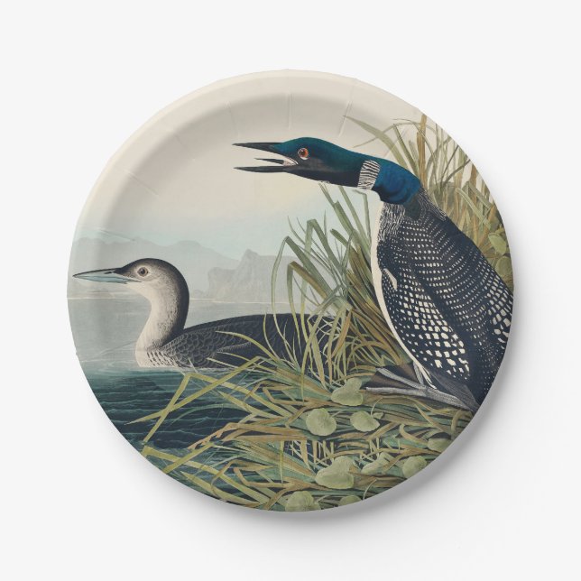 Audubon Bird Loon Diver Classic Paper Plate (Front)