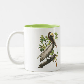 Audubon Bird Mug, Brown Pelican, 15 oz. Two-Tone Coffee Mug