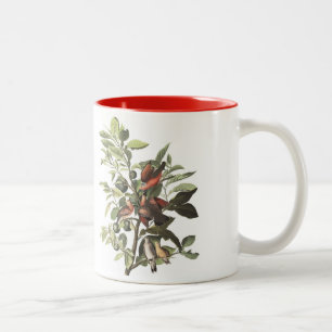 Audubon Bird Mug, Ground Dove, 15 oz. Two-Tone Coffee Mug