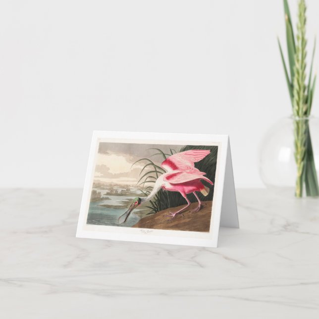 Audubon Birds of America Thank You Card (Front)