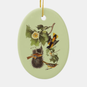 Audubon Birds Troupial Vintage Art Ceramic Tree Decoration