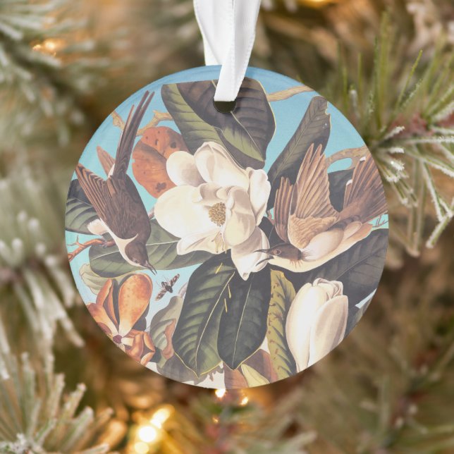 Audubon Black-Billed Cuckoo Birds Ornament (Tree)