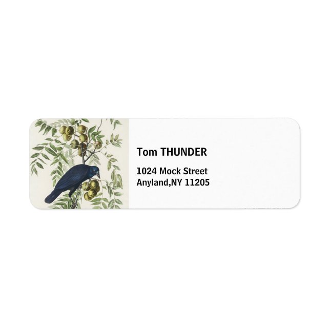 Audubon Black Crow American Bird Illustration (Front)