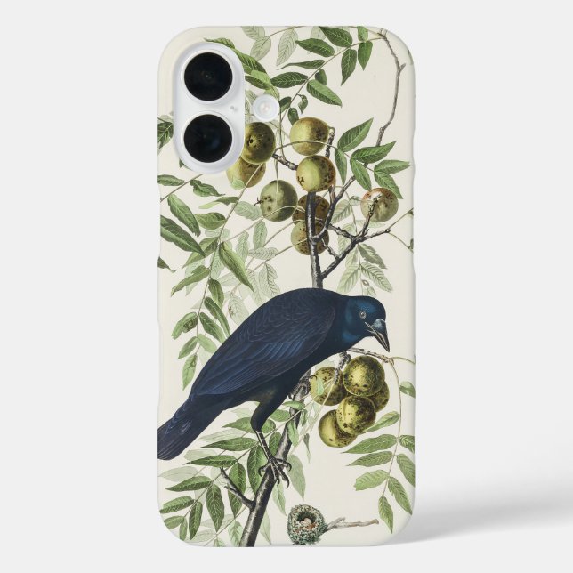 Audubon Black Crow American Bird Illustration Case-Mate iPhone Case (Back)