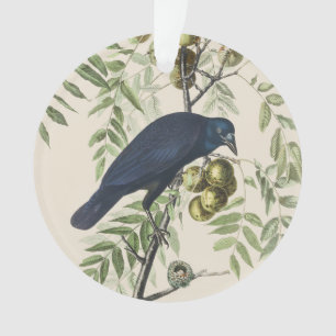 Audubon Black Crow American Bird Illustration Ornament