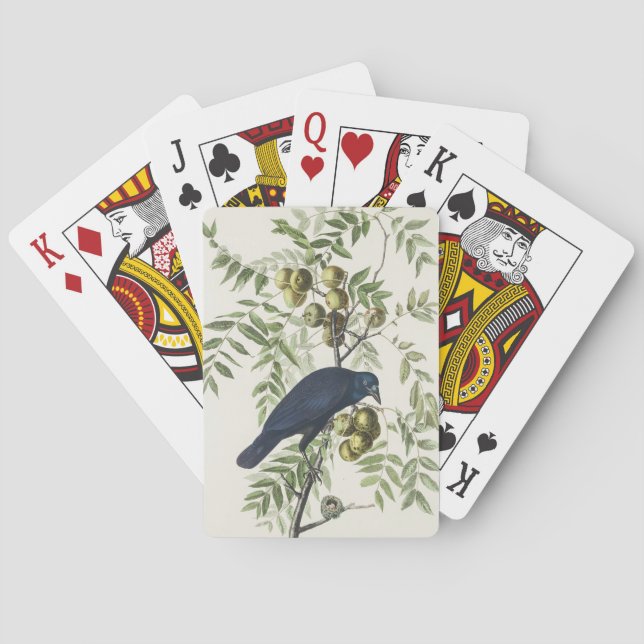 Audubon Black Crow American Bird Illustration Playing Cards (Back)