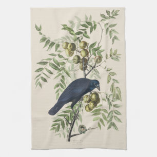 Audubon Black Crow American Bird Illustration Tea Towel