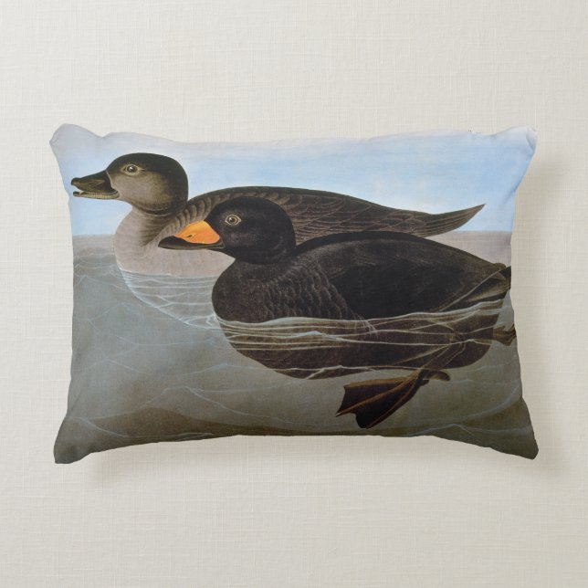 Audubon: Black Scoter Decorative Cushion (Front)