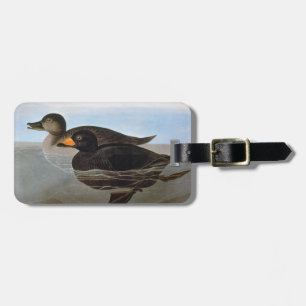 Audubon: Black Scoter Luggage Tag