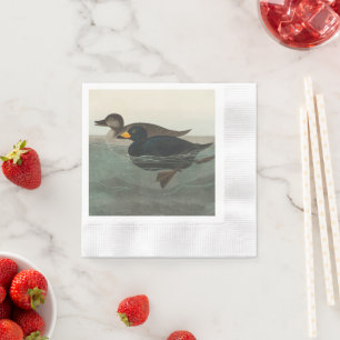 Audubon Black Scoter Print: Vintage Coastal Duck Napkin