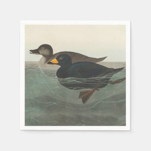 Audubon Black Scoter Print: Vintage Coastal Duck Napkin