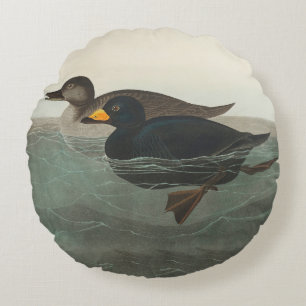 Audubon Black Scoter Print: Vintage Coastal Duck Round Cushion