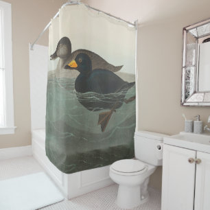 Audubon Black Scoter Print: Vintage Coastal Duck Shower Curtain