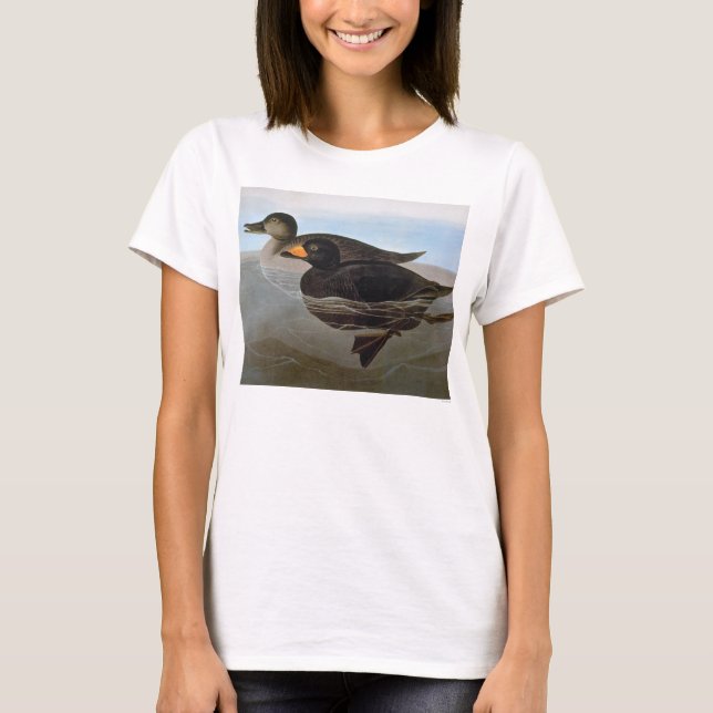 Audubon: Black Scoter T-Shirt (Front)