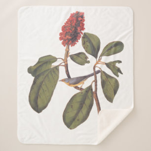 Audubon Bonaparte Flycatcher Bird Sherpa Blanket