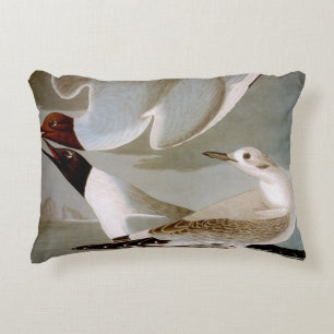 Audubon: Bonaparte's Gull Decorative Cushion