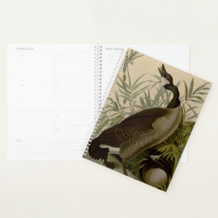 Audubon Canada Goose Wildlife Bird Planner