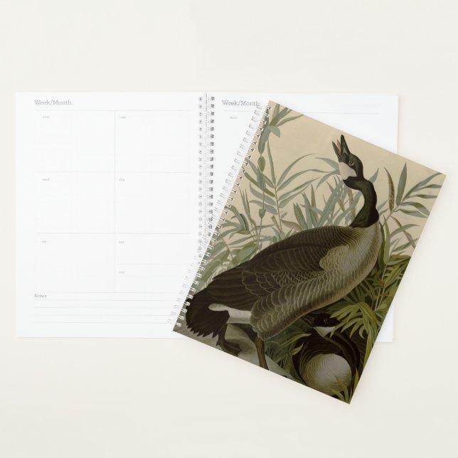 Audubon Canada Goose Wildlife Bird Planner (Display)