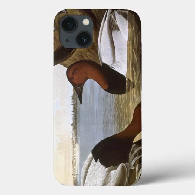 Audubon: Canvasback Case-Mate iPhone Case (Back)