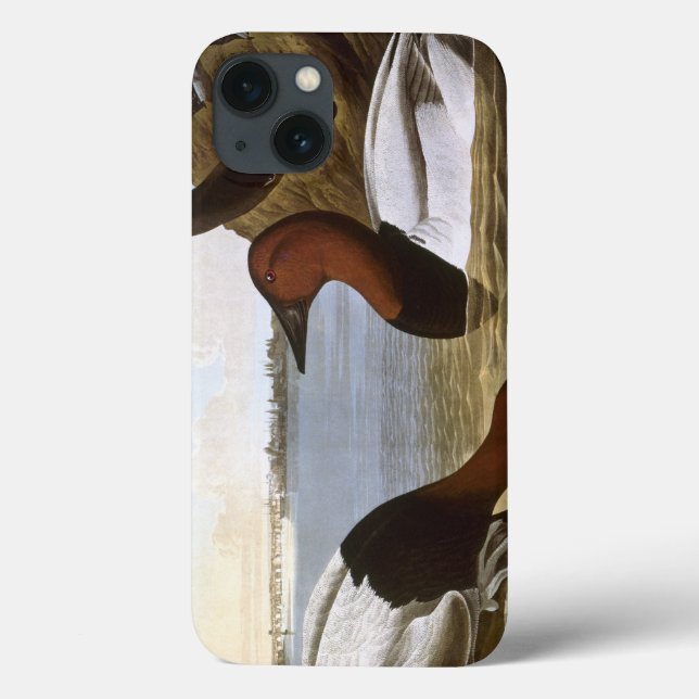 Audubon: Canvasback Case-Mate iPhone Case (Back)