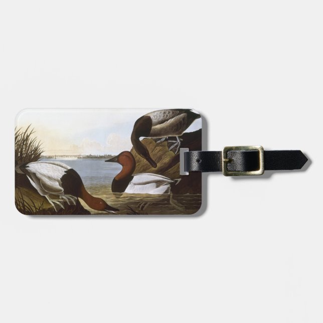 Audubon: Canvasback Luggage Tag (Front Horizontal)