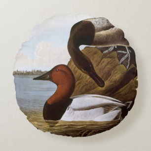 Audubon: Canvasback Round Cushion