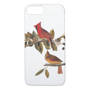Audubon Cardinal Pair in Wild Almond Tree iPhone 8/7 Case