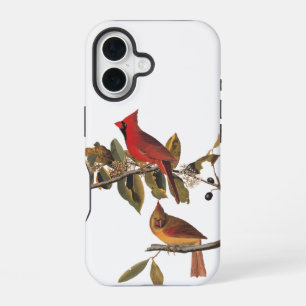 Audubon Cardinal Pair in Wild Almond Tree iPhone 16 Case