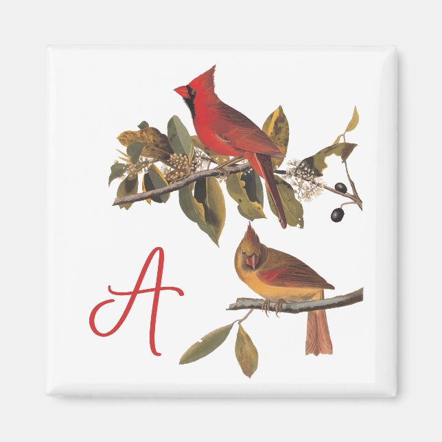 Audubon Cardinal Pair in Wild Almond Tree Magnet (Front)