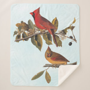 Audubon Cardinal Pair in Wild Almond Tree Sherpa Blanket