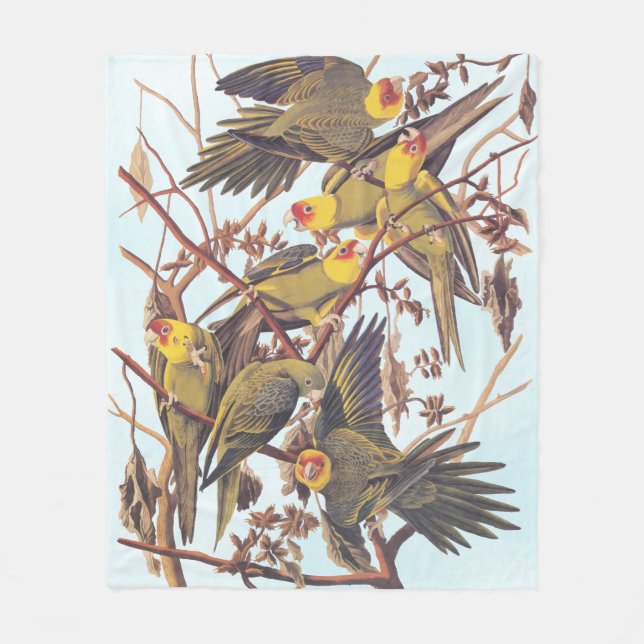 Audubon Carolina Parakeet Flock Fleece Blanket (Front)