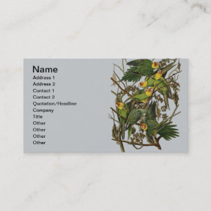 Audubon Carolina Parrot Bird illustration Business Card