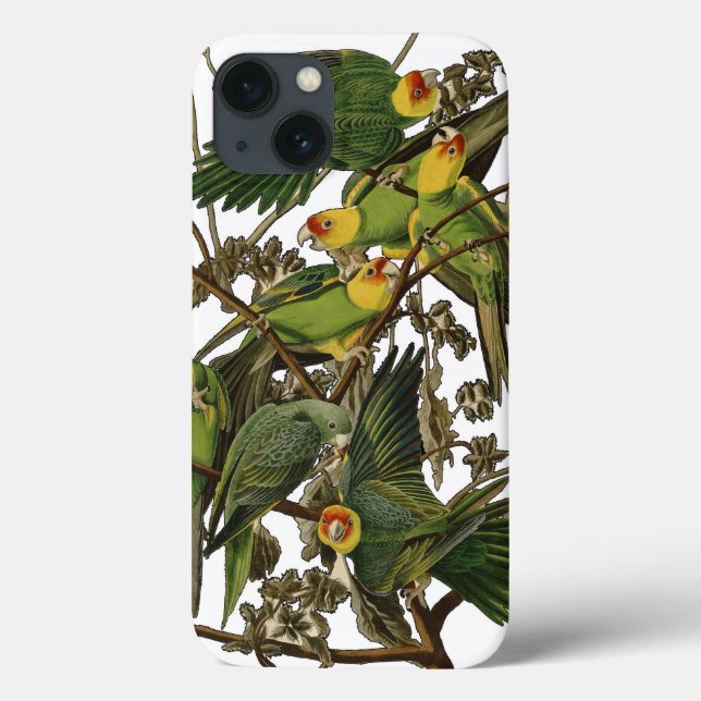 Audubon Carolina Parrot Bird illustration Case-Mate iPhone Case (Back)