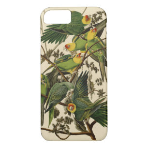 Audubon Carolina Parrot Bird illustration Case-Mate iPhone Case