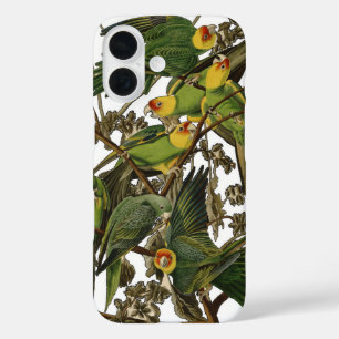 Audubon Carolina Parrot Bird illustration iPhone 16 Case
